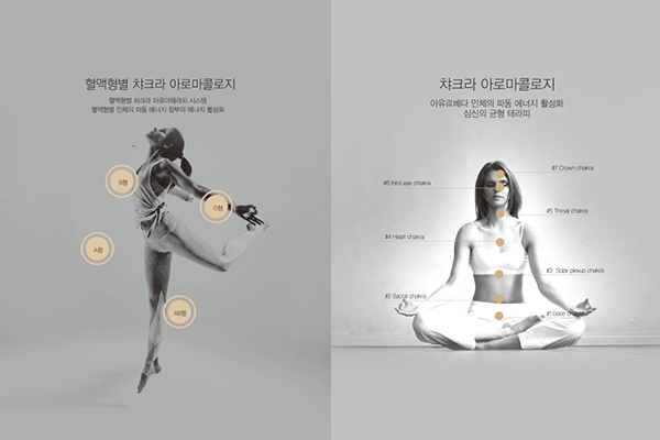 디보쉬