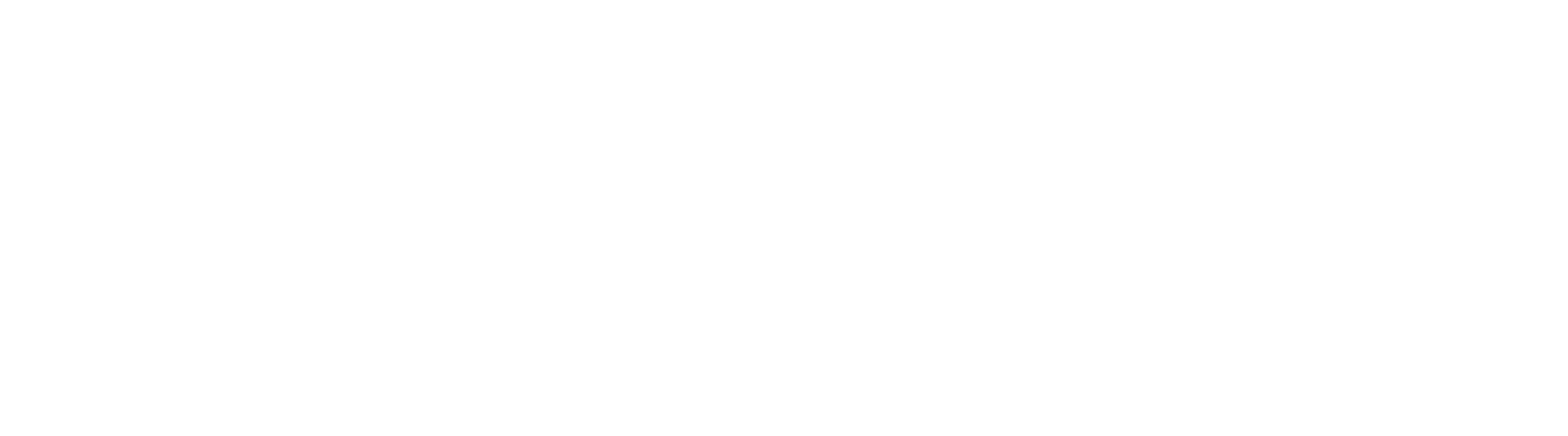 logo_wt